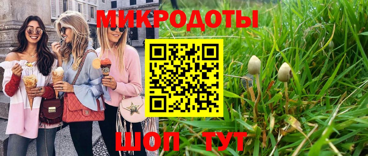 Галлюциногенные грибы прущие грибы Дубна