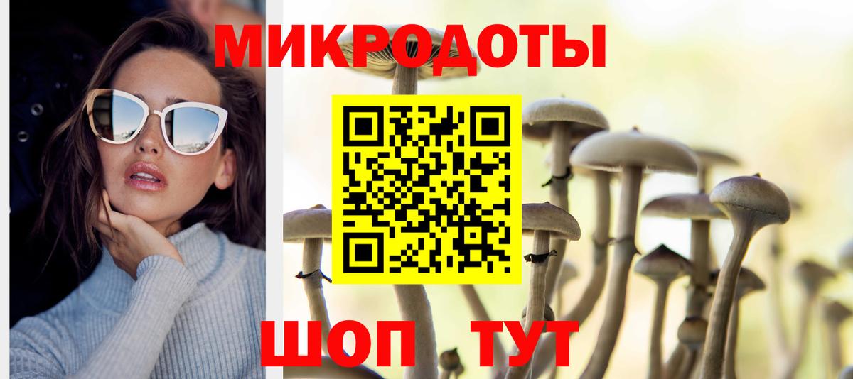 Псилоцибиновые грибы Psilocybe  Вход с VPN  Дубна 